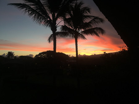 outside the house