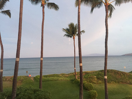 view from the deck