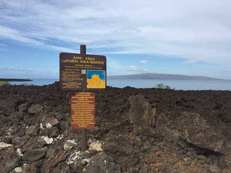 lava fields
