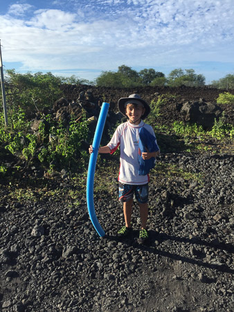 ready to snorkle