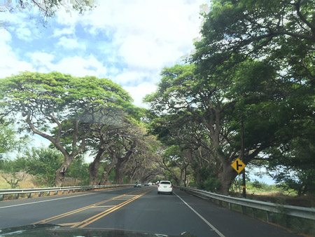 driving back to Kihei