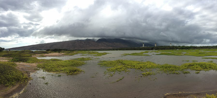Kealia Pond