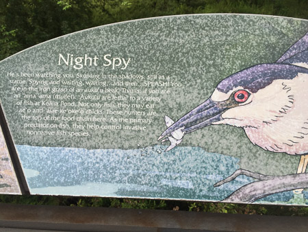 birding