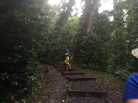 Hiking on the road to Hana