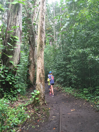 Hiking on the road to Hana