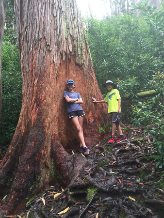 Hiking on the road to Hana
