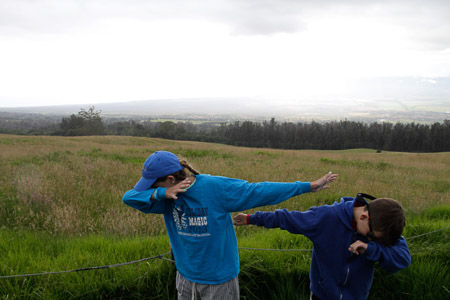 Dab