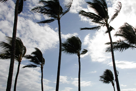 tradewinds