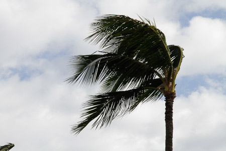 tradewinds
