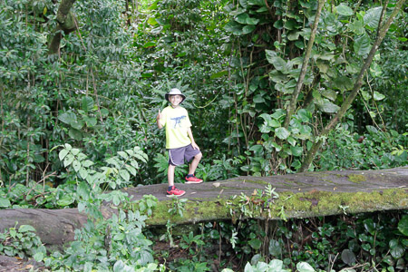 along the road to Hana