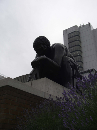 IMGP3391
