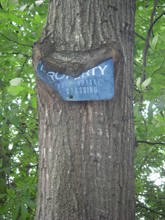 IMGP0073