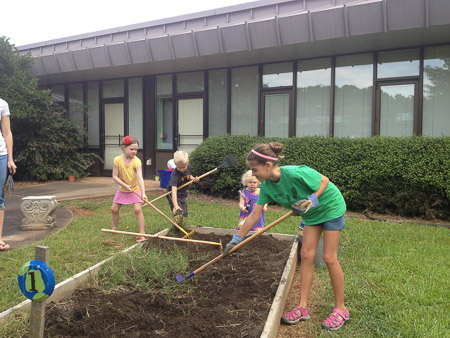 Farmington Woods Community Garden