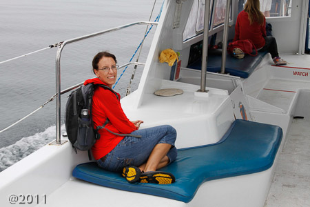 Captain Dave's Dolphin and Whale Safari