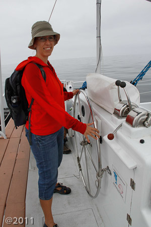 Captain Dave's Dolphin and Whale Safari