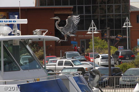heron at the docks