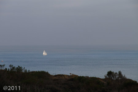 Dana Point  