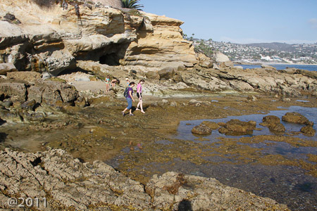 Tidal pools Pacific Ocean