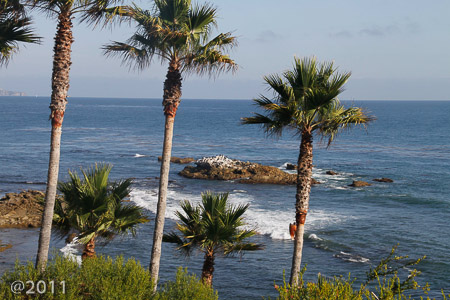 Tidal pools Pacific Ocean