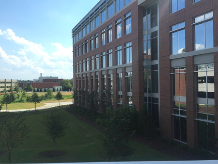 New office at the Institute for Advanced Analytics