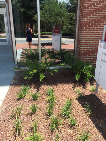New office at the Institute for Advanced Analytics