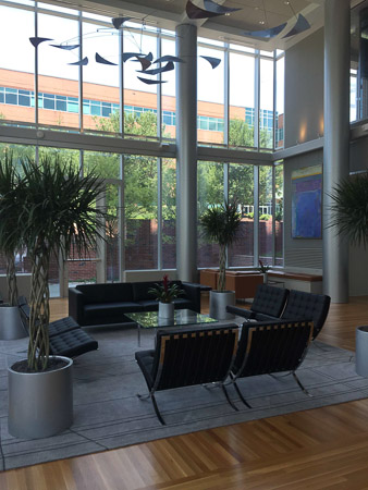New office at the Institute for Advanced Analytics