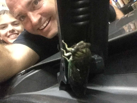 cicada selfie
