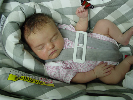 Butterfly Baby