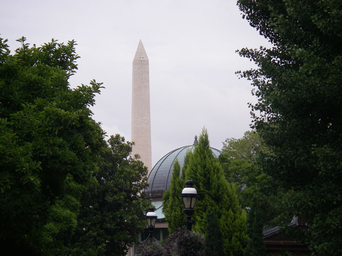 IMGP1087