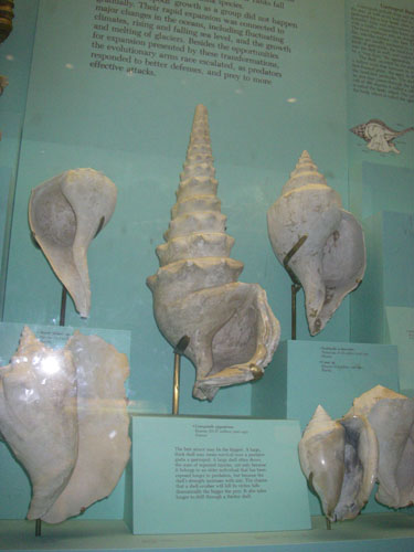 IMGP1149