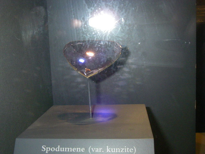 IMGP1163