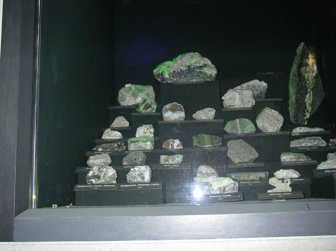 IMGP1171