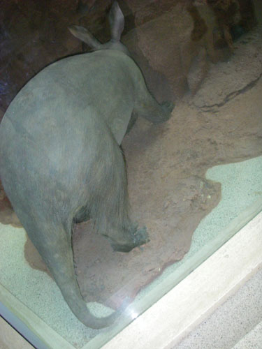 IMGP1186