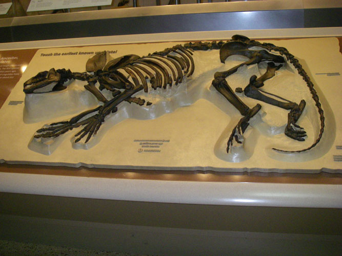 IMGP1189