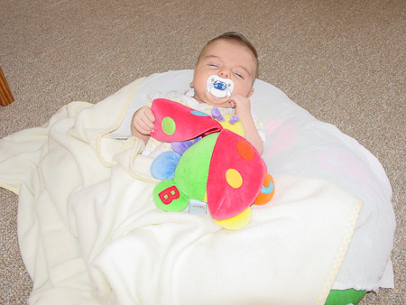 Snug a bug on a blanket