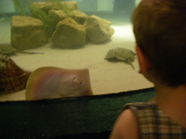 0286_20070809