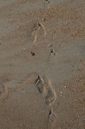 0671_20070808