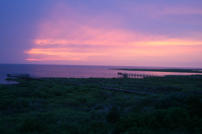 0704_20070810