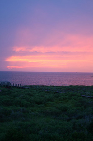 0707_20070810