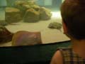 0286_20070809