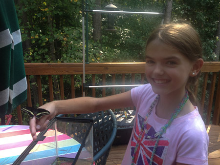 Butterfly release