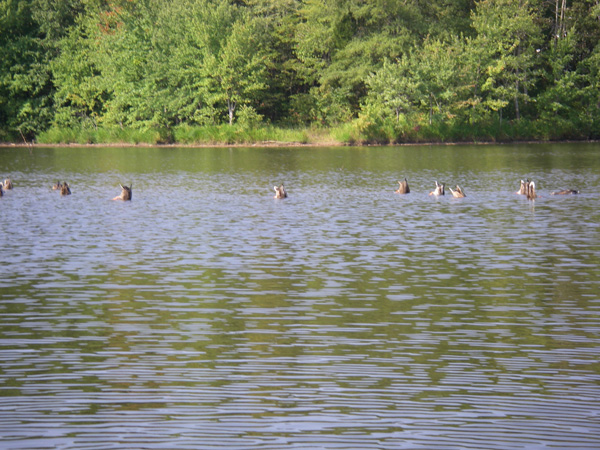 IMGP0394