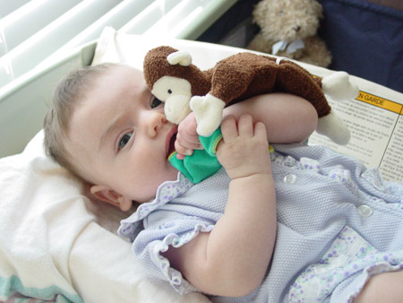 Are you looking at my monkey?