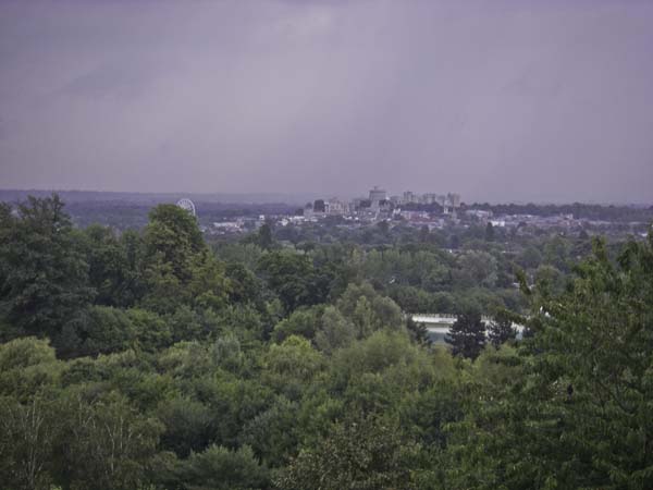 IMGP4966