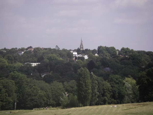 IMGP5158