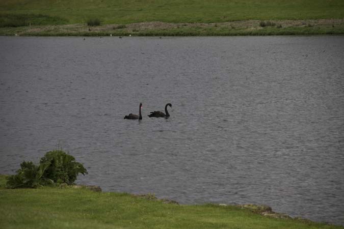 IMG_0645
