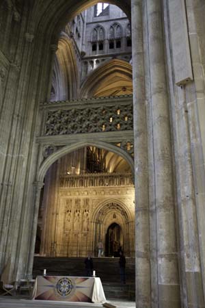 _MG_0803