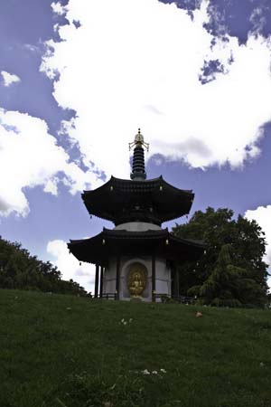 _MG_2353