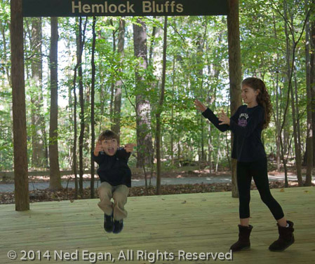 Hemlock Bluffs 