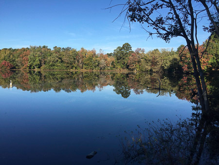 Fall colors starting to show at Lake Bond
